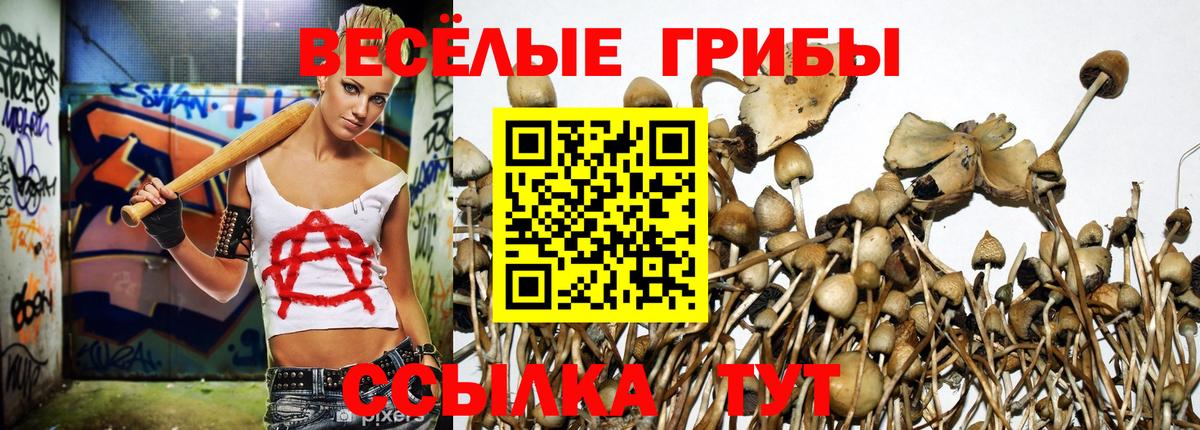 Псилоцибиновые грибы мухоморы  Белая Калитва  Галлюциногенные грибы мицелий 