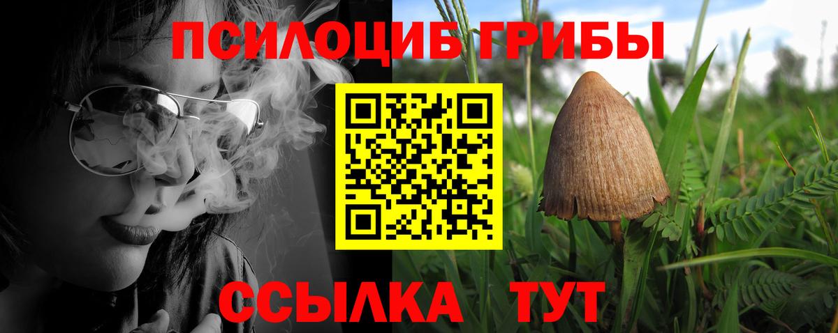 Галлюциногенные грибы GOLDEN TEACHER Белая Калитва