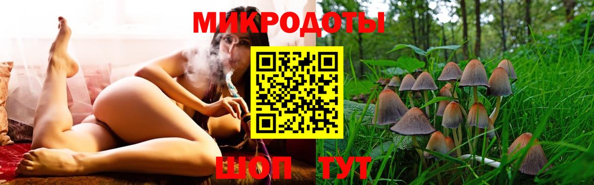 Псилоцибиновые грибы Psilocybine cubensis Белая Калитва
