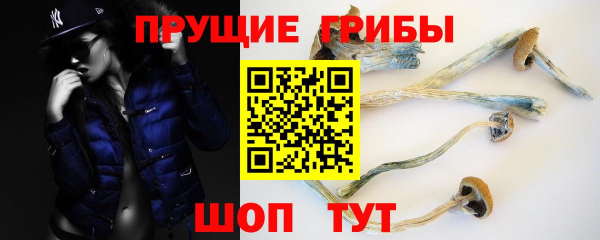 где можно купить наркотик  Вход с VPN  Белая Калитва  Галлюциногенные грибы мухоморы  Галлюциногенные грибы GOLDEN TEACHER 